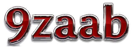 9zaab logo
